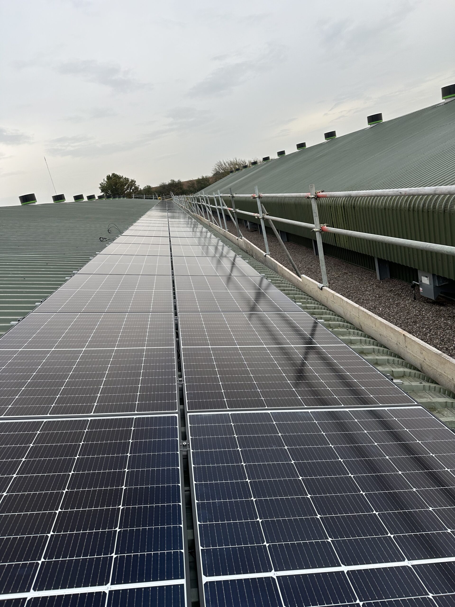 Commercial solar panel installation on a green metal roof of an industrial facility for renewable energy production